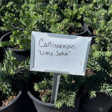 Load image into Gallery viewer, Little John 5 Gallons