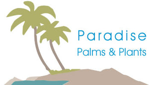 Paradise Palms and Plants