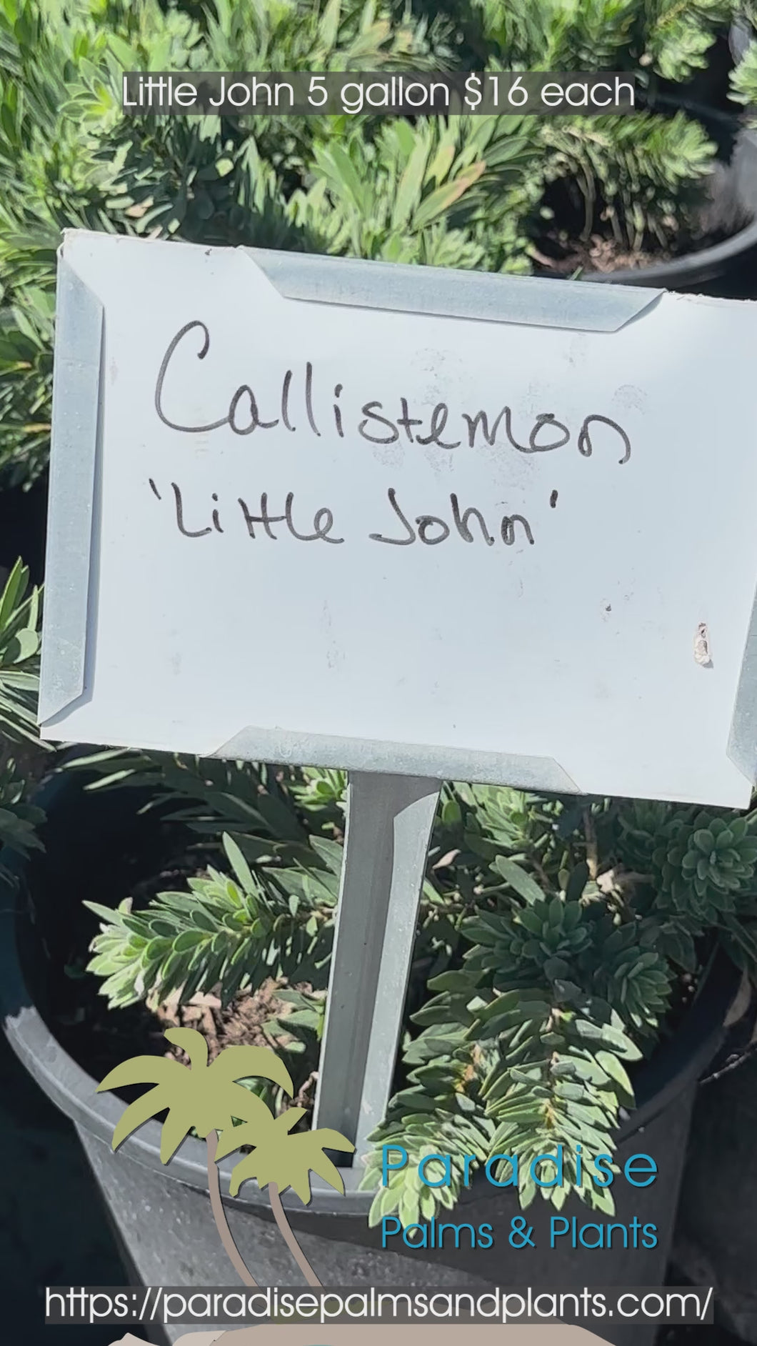 Little John 5 Gallons